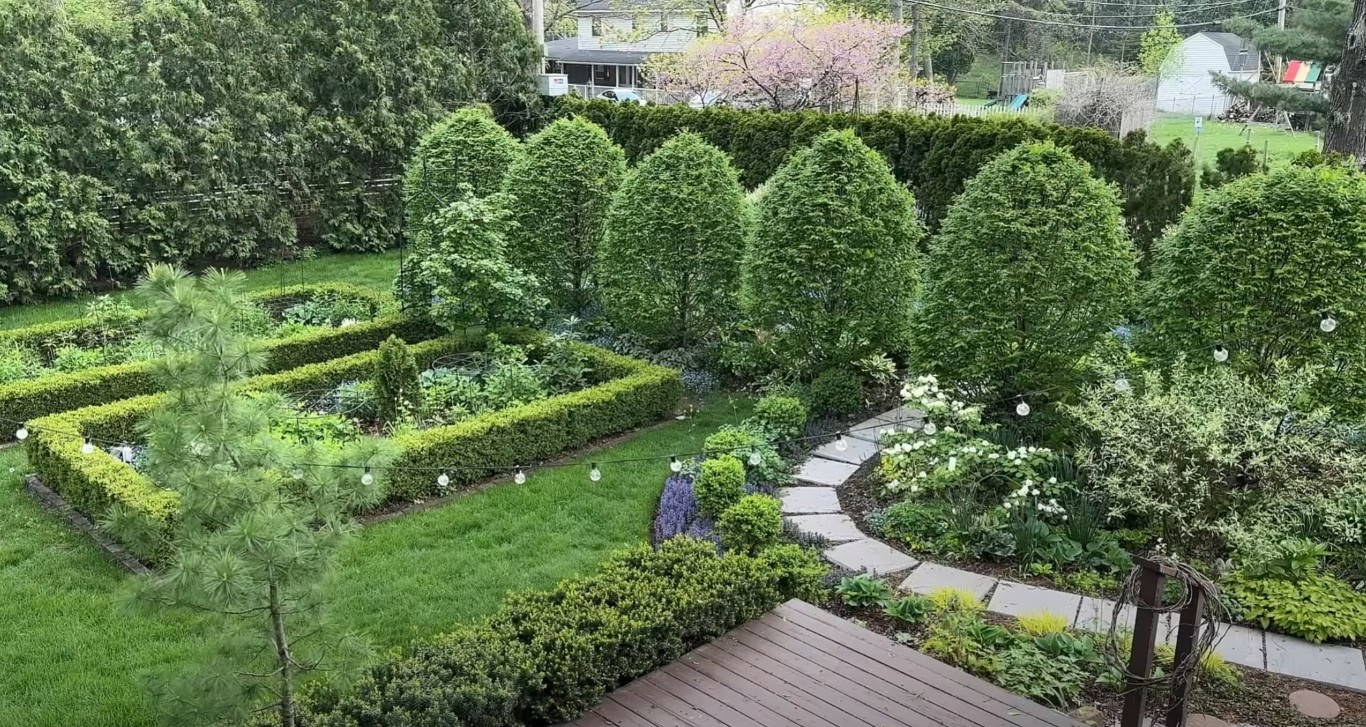 Transformed backyard with professional landscaping in Placentia, CA