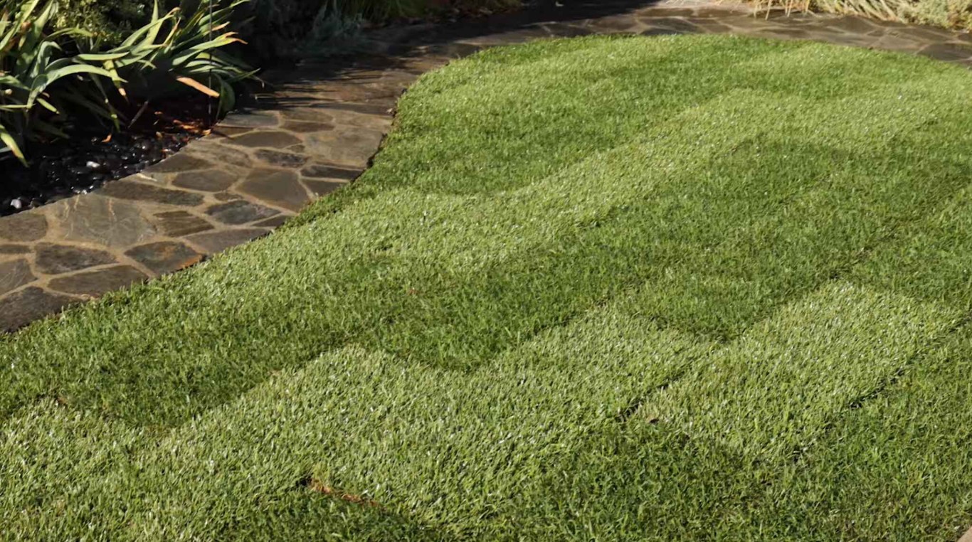Professional lawn maintenance with sharp edges in Placentia, CA